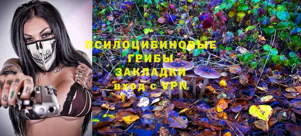 MDMA Заводоуковск