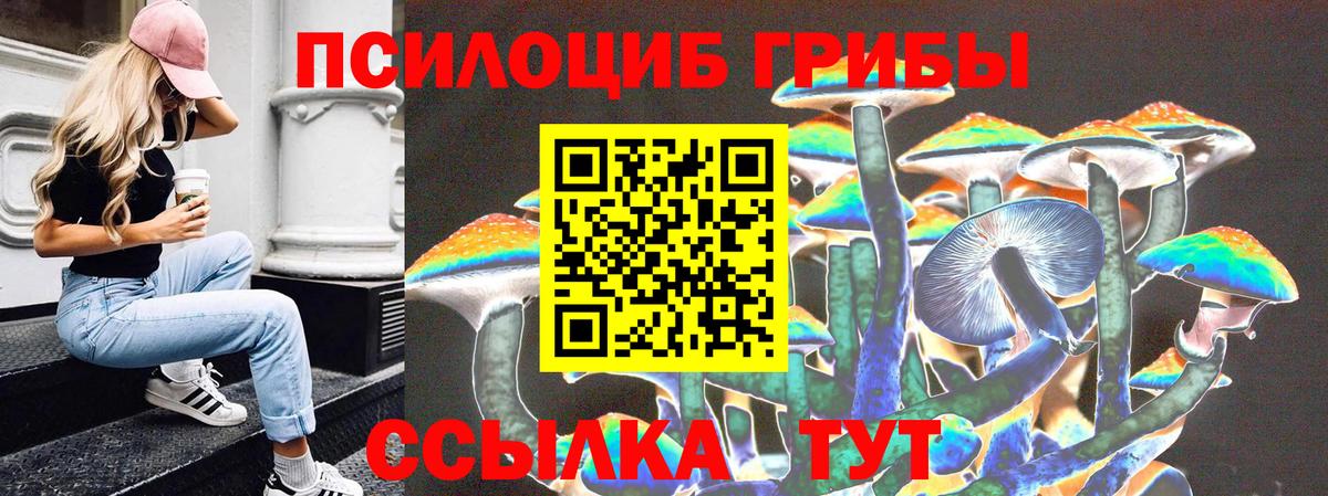 Псилоцибиновые грибы MAGIC MUSHROOMS Таганрог