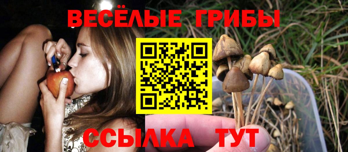 даркнет сайт  Галлюциногенные грибы мухоморы  Вход с VPN  Таганрог 