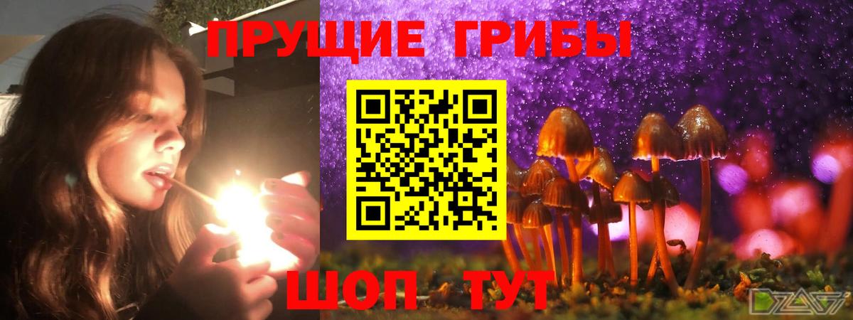 Псилоцибиновые грибы GOLDEN TEACHER Таганрог